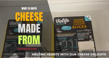 Daiya Cheese: Vegan, Delicious, and Made From Plants