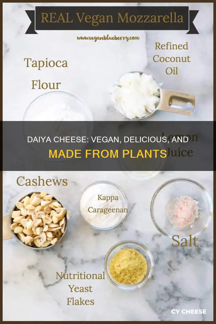what is daiya cheese made of