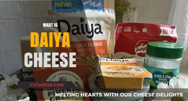 Discover Daiya Cheese: A Plant-Based, Dairy-Free Alternative Explained
