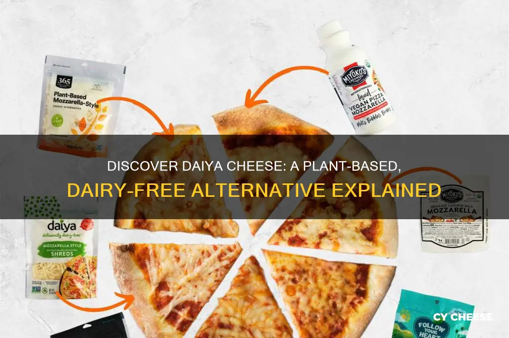 what is daiya cheese