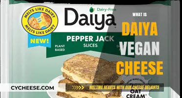 Daiya Vegan Cheese: A Plant-Based, Dairy-Free, and Delicious Alternative