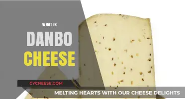Discover Danbo Cheese: Denmark's Creamy, Mild, and Versatile Delight