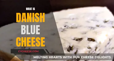 The Distinctive Danish Blue Cheese: A Cultured Connoisseur's Delight
