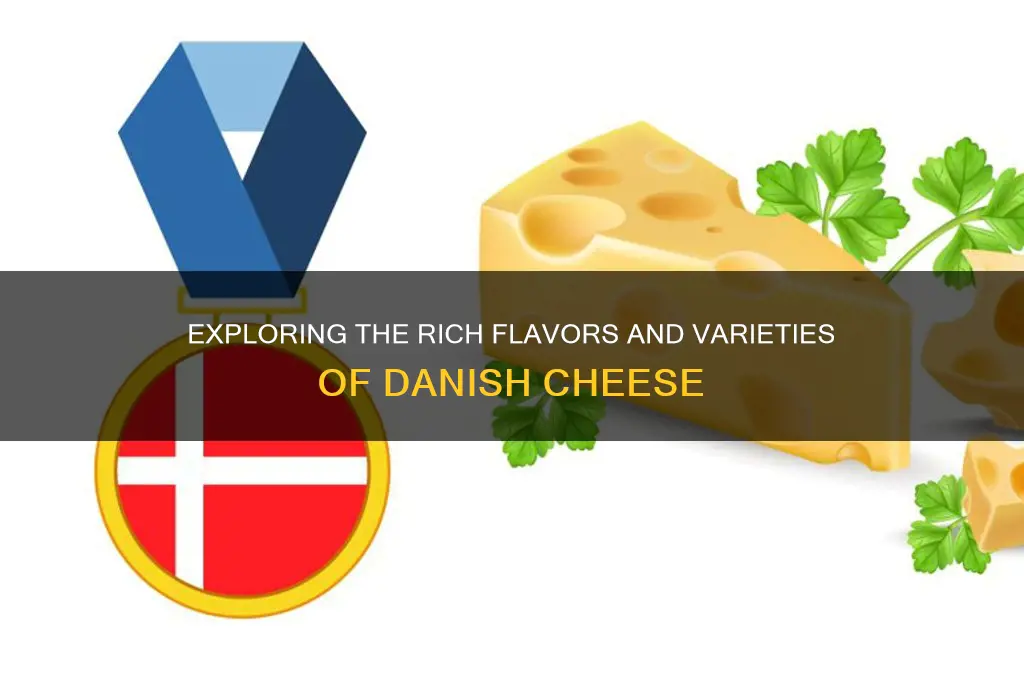 what is danish cheese