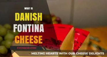Discover the Rich, Creamy Delight of Danish Fontina Cheese
