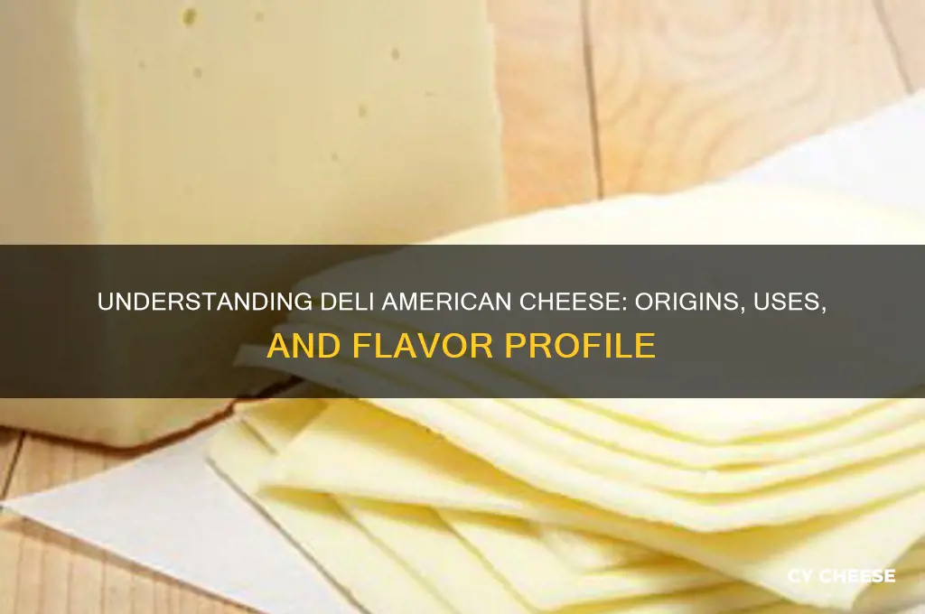 what is deli american cheese