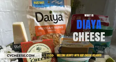 Discovering Diaya Cheese: A Plant-Based Alternative to Dairy Cheese