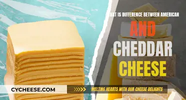 American vs. Cheddar: Unraveling the Cheesy Differences