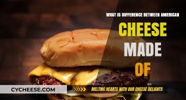 Unraveling the Mystery: American Cheese's Unique Ingredients