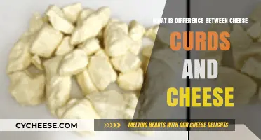 Cheese Curds vs. Cheese: Understanding the Key Differences and Uses