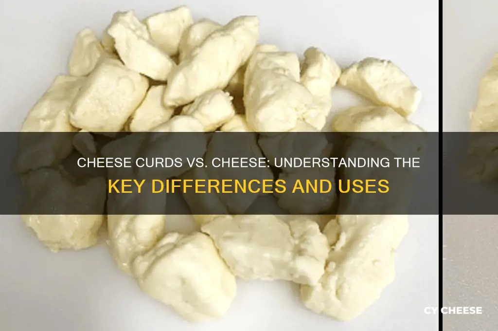 what is difference between cheese curds and cheese
