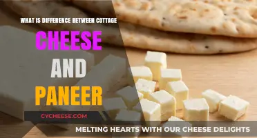 Cottage Cheese vs. Paneer: Unraveling the Key Differences and Uses