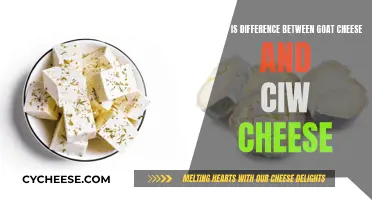 Goat Cheese vs Cow Cheese: Nutritional Differences Explained