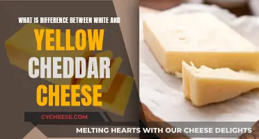 White Cheddar vs. Yellow Cheddar: Unraveling the Flavor and Color Differences