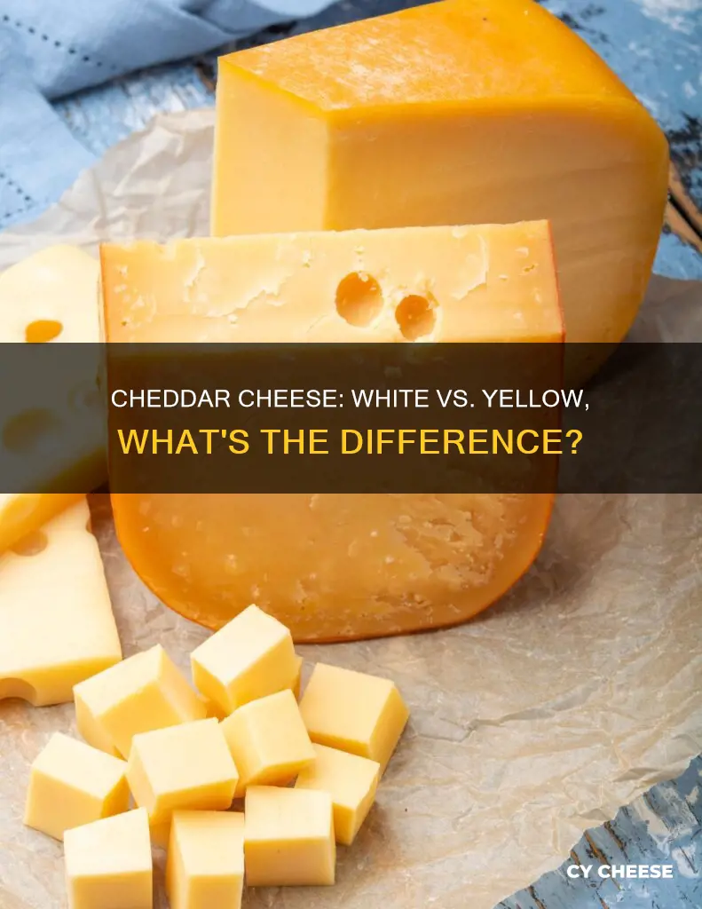 what is difference between white and yellow cheddar cheese