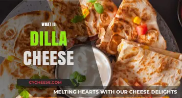 Discover the Unique Flavor and Origin of Dilla Cheese