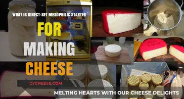 Understanding Direct-Set Mesophilic Starter in Cheese Making: A Guide