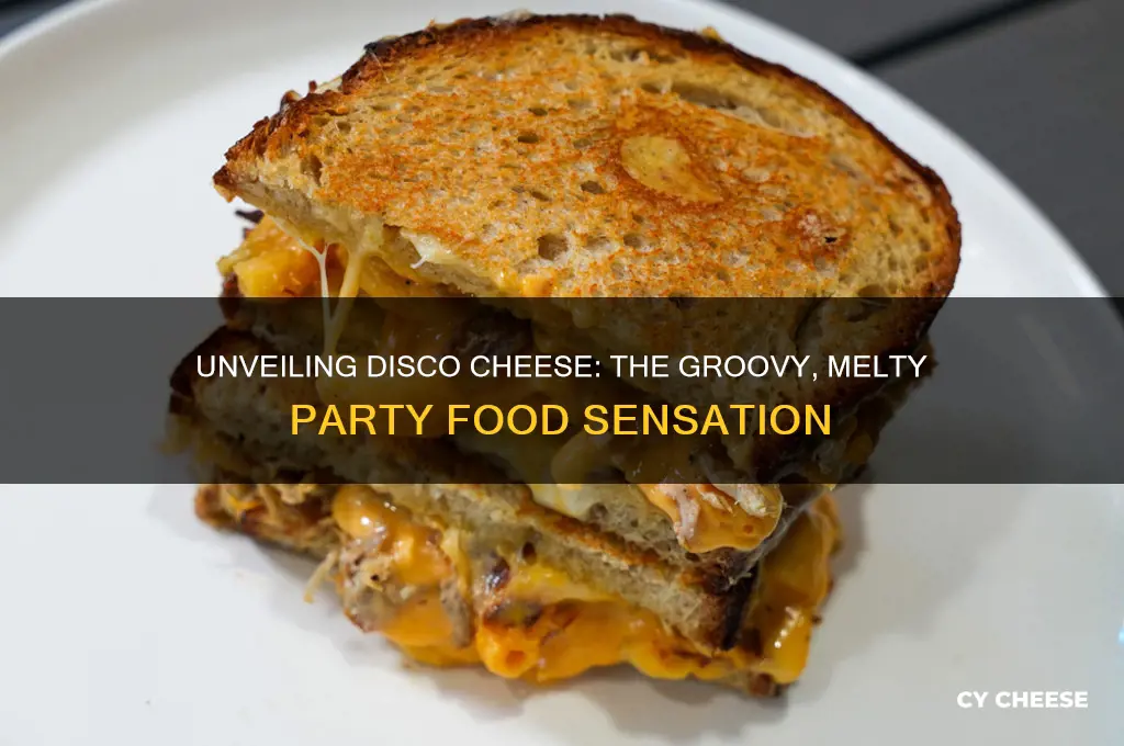 what is disco cheese