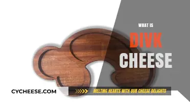 Discover the Unique Flavor and Origin of Dick Cheese