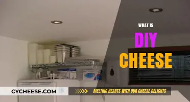 Discover the Art of Homemade Cheese: A DIY Cheese Guide