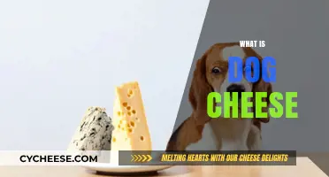 Understanding Dog Cheese: Benefits, Safety, and How to Serve It