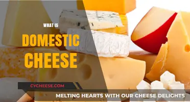 Exploring Domestic Cheese: Types, Production, and Culinary Uses