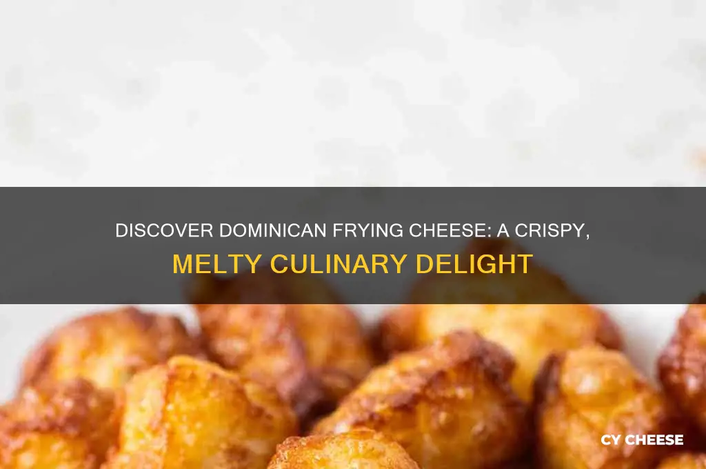 what is dominican frying cheese