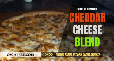 Domino's Cheddar Cheese Blend: A Tasty Mystery Solved
