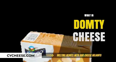 Discover Domty Cheese: Egypt's Beloved Dairy Delight Explained