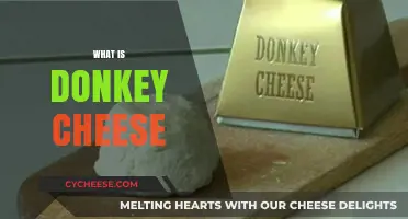 Discovering Donkey Cheese: A Rare, Luxurious, and Unique Delicacy Explained