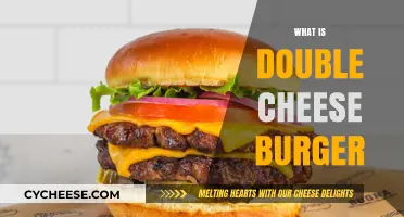 Exploring the Delicious Layers of a Double Cheese Burger