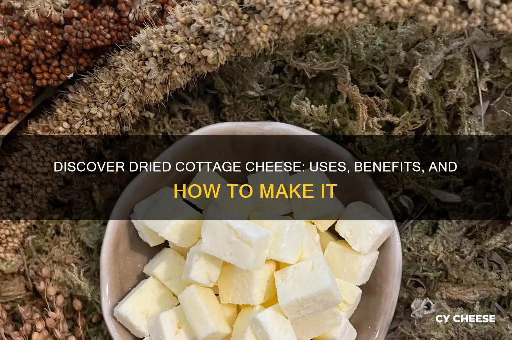 what is dried cottage cheese