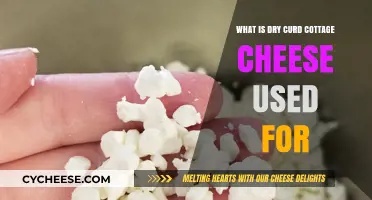 Dry Curd Cottage Cheese Uses: Versatile Recipes and Culinary Benefits