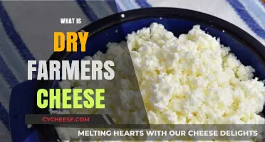 Discover Dry Farmers Cheese: A Nutty, Versatile Culinary Delight