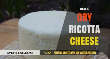 Discover Dry Ricotta Cheese: Uses, Benefits, and How to Make It