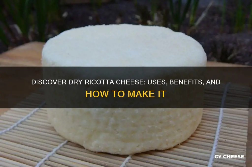 what is dry ricotta cheese