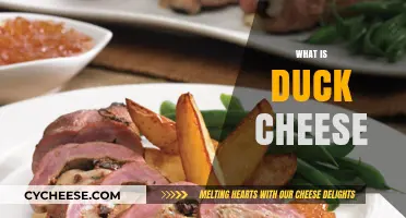 Discover the Unique Flavor and Origin of Duck Cheese