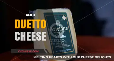 Discover Duetto Cheese: A Unique Blend of Flavors and Textures