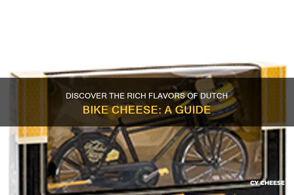 what is dutch bike cheese