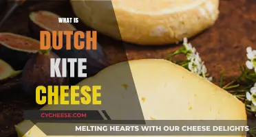 Discover Dutch Kite Cheese: Unique Flavor, Texture, and Tradition Explained