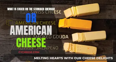 Cheddar vs. American: Which Cheese is Gentler on Your Stomach?