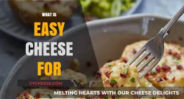 What is Easy Cheese For? Uses, Recipes, and Fun Facts