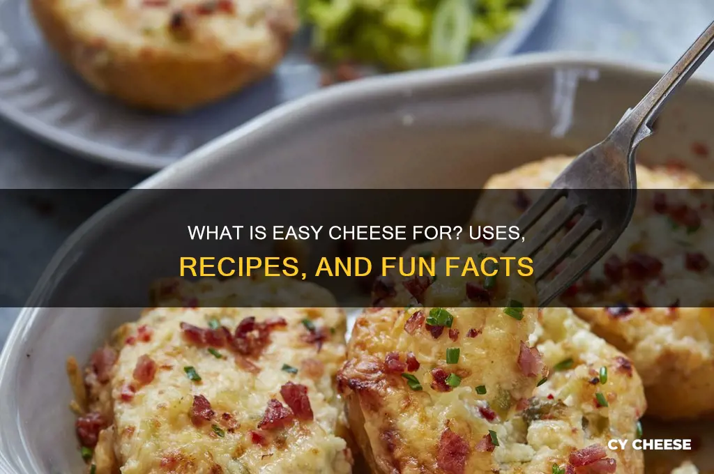 what is easy cheese for
