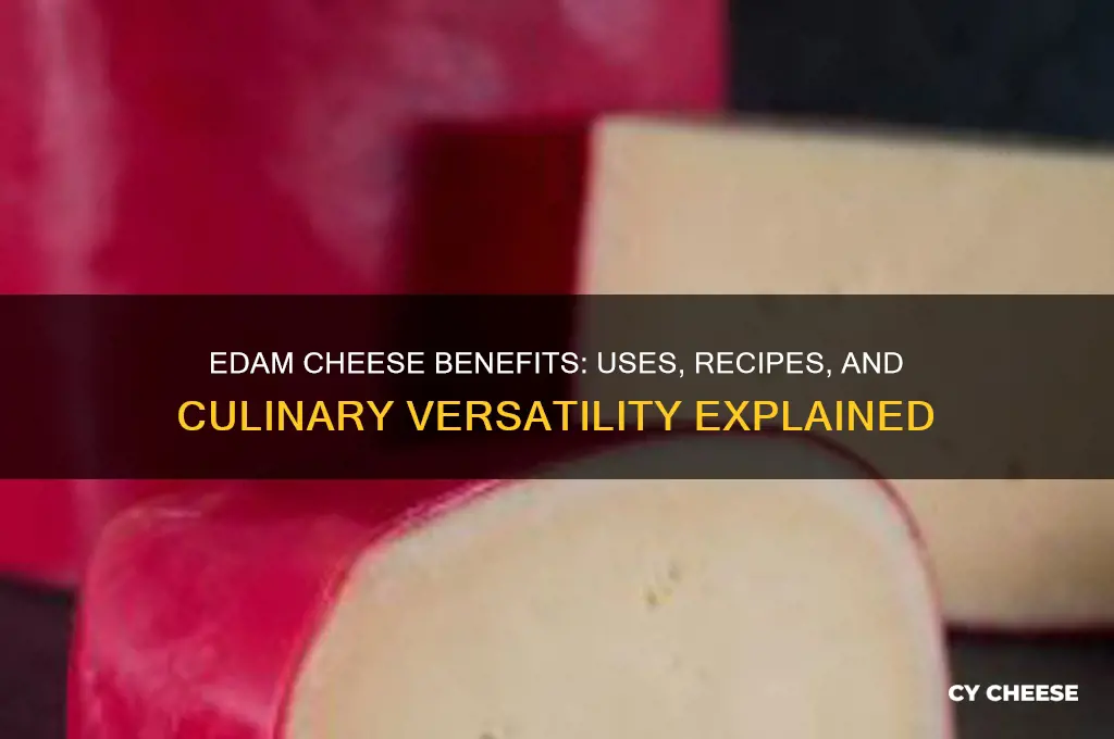 what is edam cheese good for