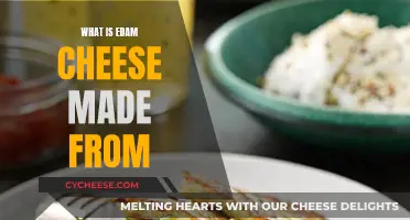 Edam Cheese: A Traditional Dutch Dairy Delight