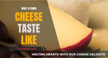 A Tasty Adventure: Unveiling the Unique Taste of Edam Cheese