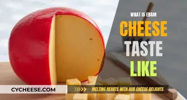 The Unique, Mild Taste of Edam Cheese