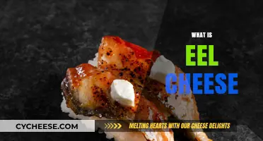 Unveiling Eel Cheese: A Unique Delicacy Explained and Explored