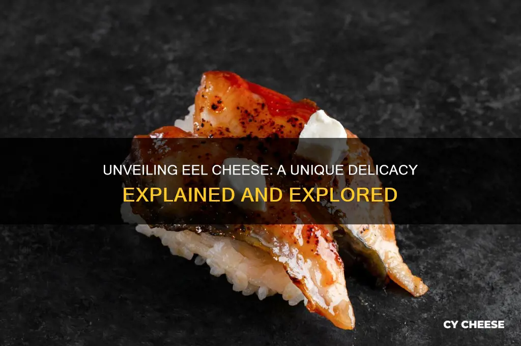 what is eel cheese