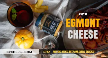 Discover Egmont Cheese: A Unique Dutch Delight and Its Origins